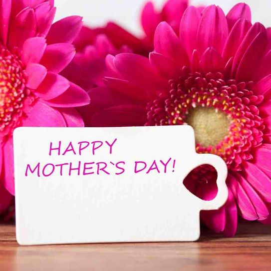 Mother's Day Flowers