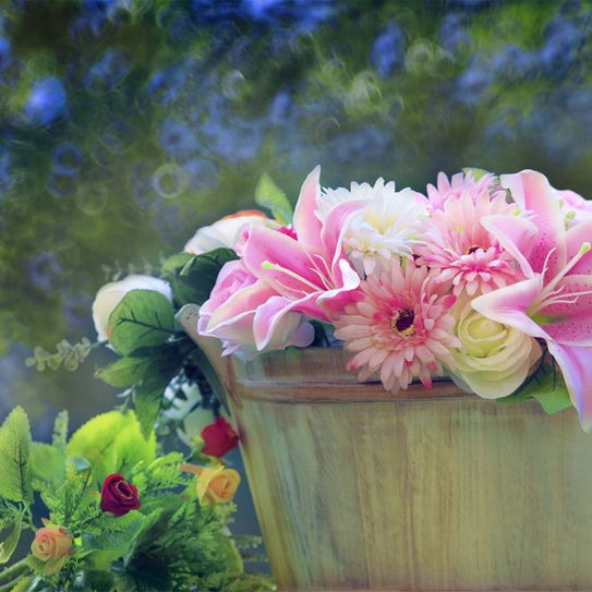 special occasions flowers